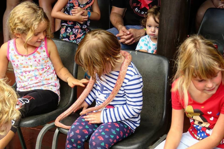 Young girls hold snakes at Croc City Crocodile and Reptile Park