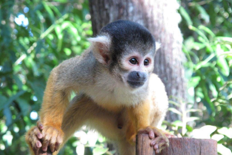 Unique Animal Encounters in Hartebeespoort