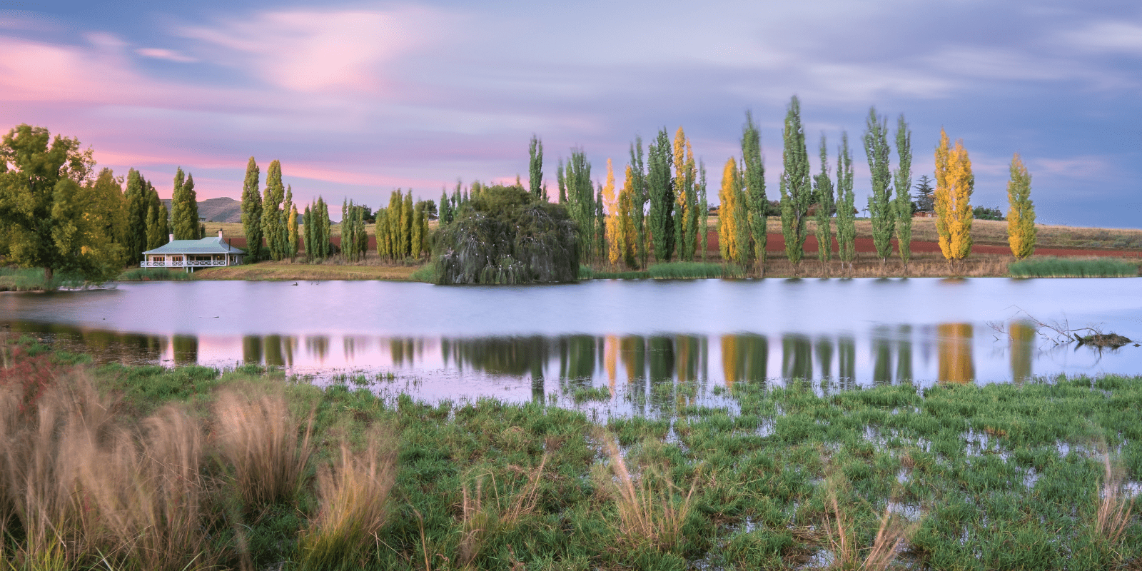 Photography Workshops