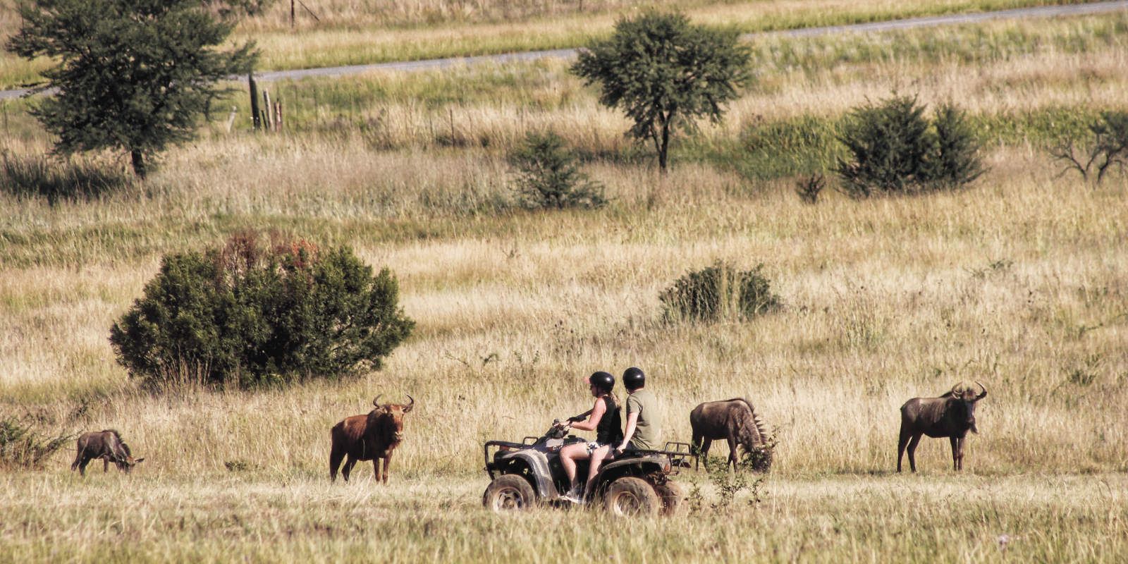 Segwati Safari Quad Bike Trails