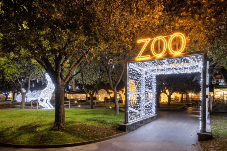 festive things to do in Johannesburg