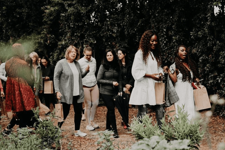 Fruit Picking in Johannesburg