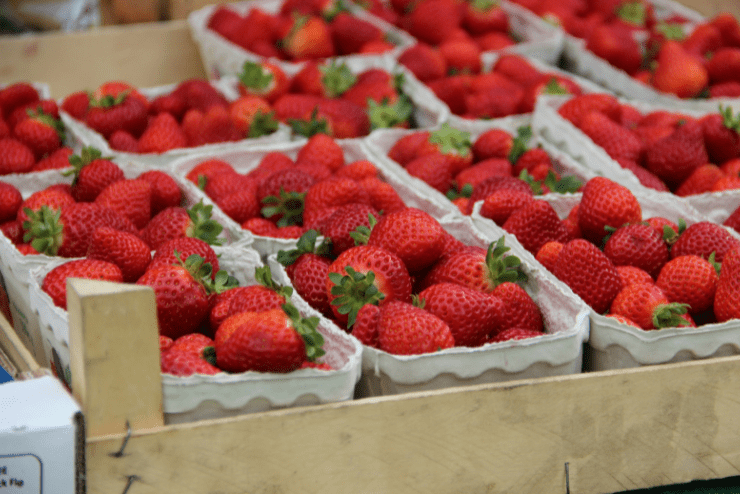 Fruit Picking in Johannesburg