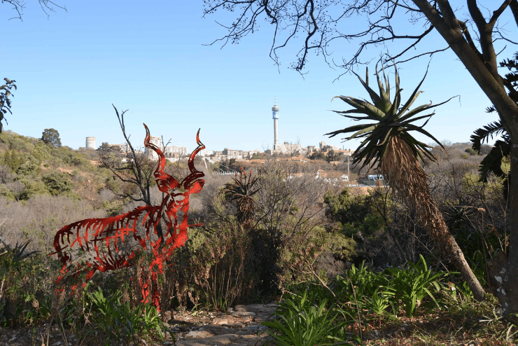 Parks in Johannesburg