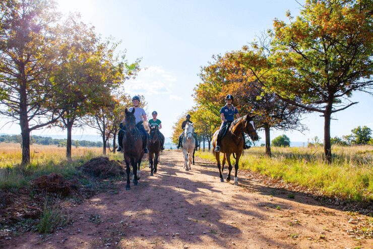 Petting Farms in Johannesburg