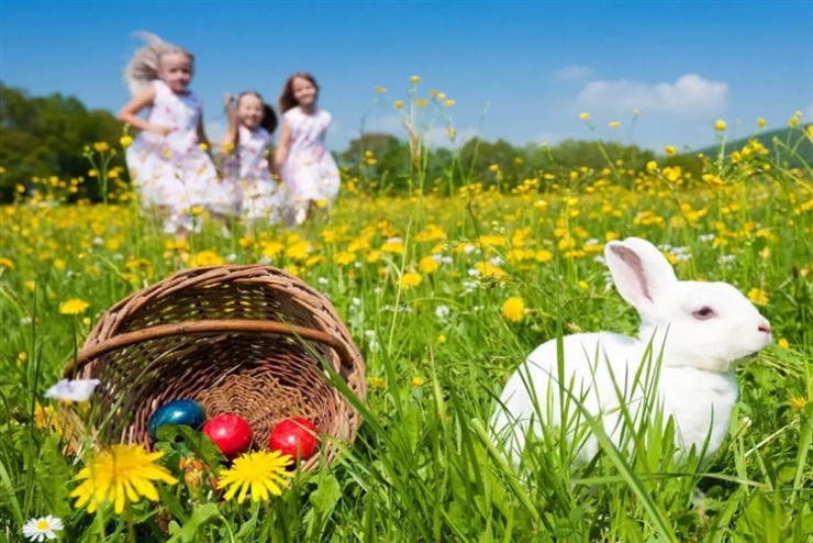 Girls in a field running after an Easter Bunny and a basket of Easter eggs during their Easter Egg Hunts