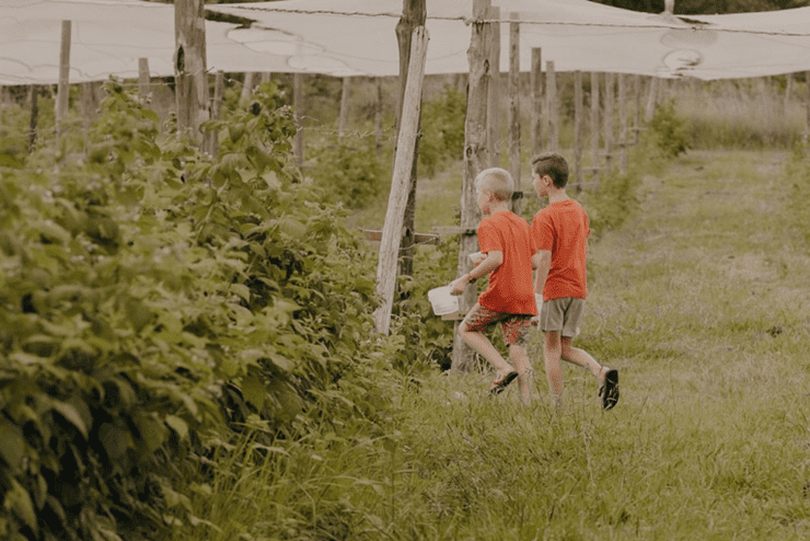 Kids walking through the Field berry farm to collect their Easter stones for their Easter Egg Hunts 