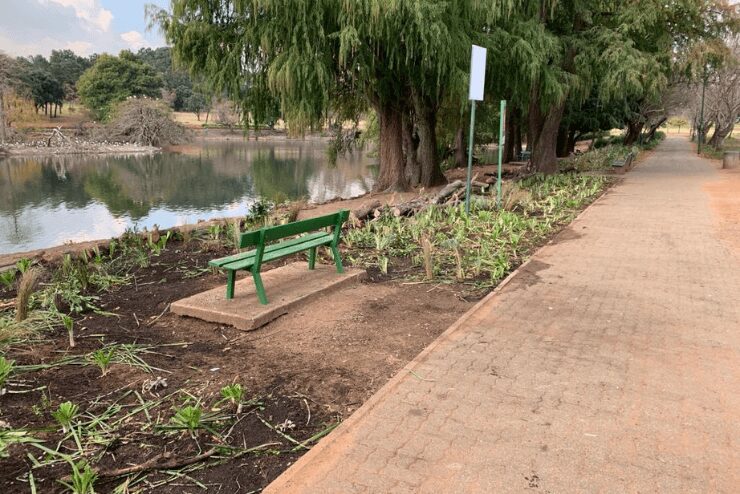 Zoo Lake Cleanup