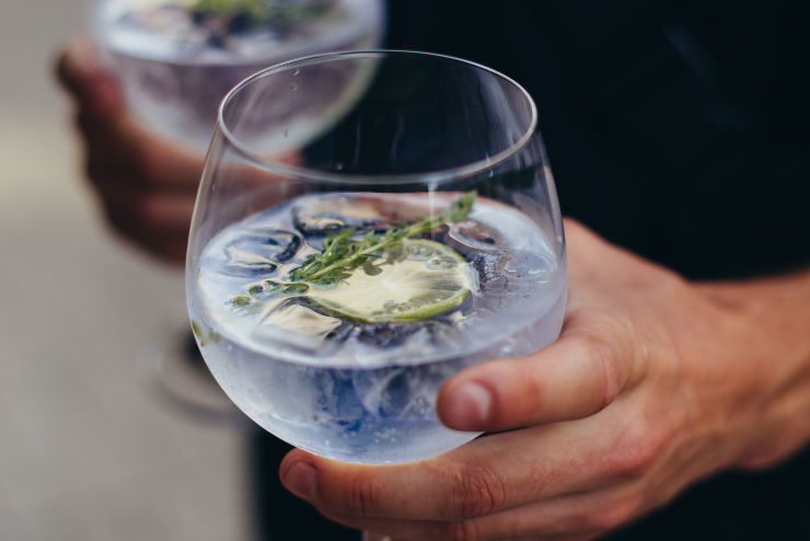 A hand holding a glass of gin