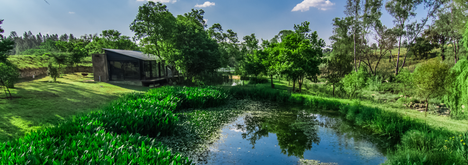 day spas in Johannesburg