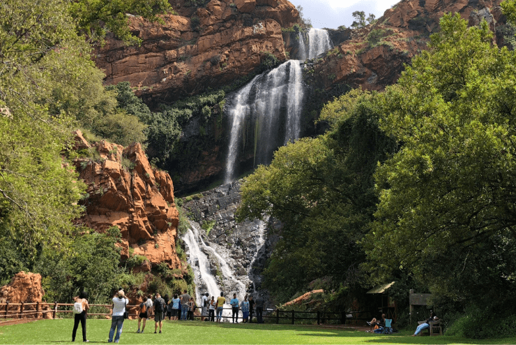 Spring day in Joburg