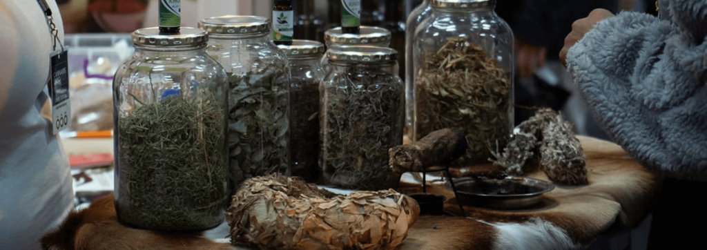 The Cannabis Expo | What's on in Joburg