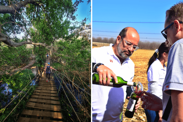 Wine on Route at Van Gaalen Cheese Farm What's on in Joburg