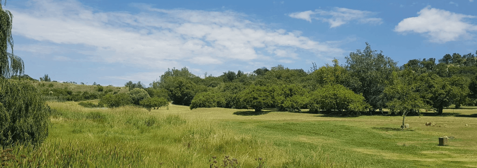 Golden Harvest Park in Randburg | What's on in Joburg